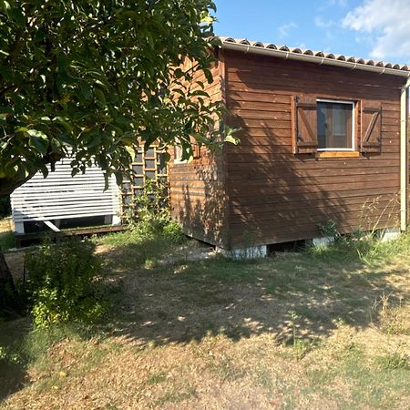 Le Chalet Pignantais Avec Option Jacuzzi Pignans Kültér fotó